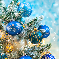 Wij zijn gesloten tijdens de feestdagen van 25-12 t/m 01-01