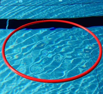 Drijvende zwemhoepel Delphin