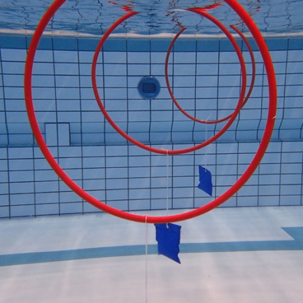 Flipper spel Porpoise, set 4 hoepels met verzwaringen